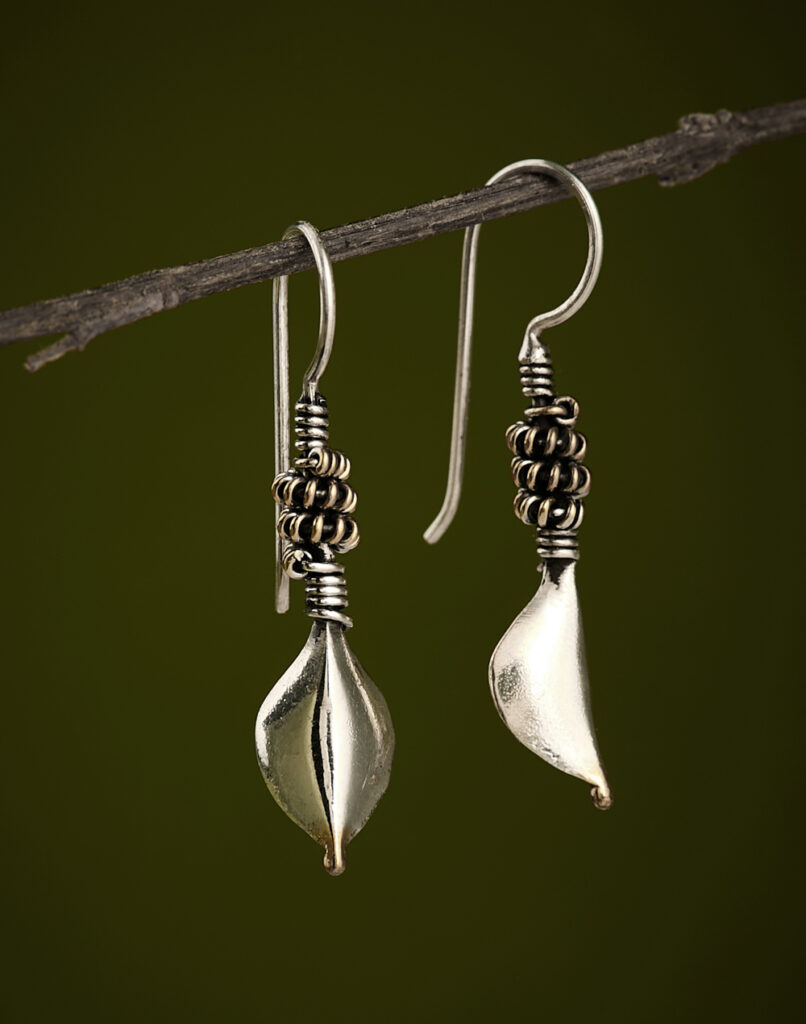 Silver Dangler Earrings