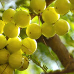 sustainable practices, sustainable products, eco-friendly production, natural materials