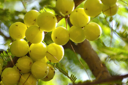 sustainable practices, sustainable products, eco-friendly production, natural materials
