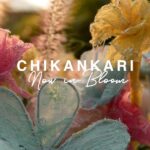 Chikankari