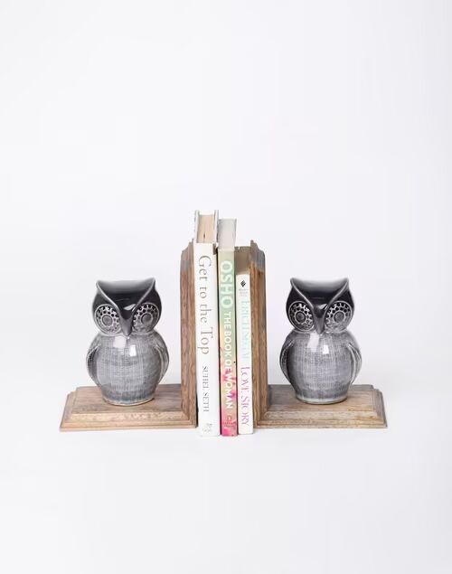 Mitul Owl Book End Set Of 2